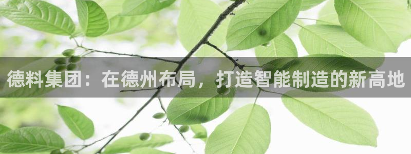 摩根娱乐宝老上不去啊