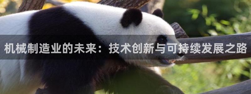 娱乐解说摩根王者荣耀