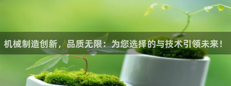 摩根娱乐是什么