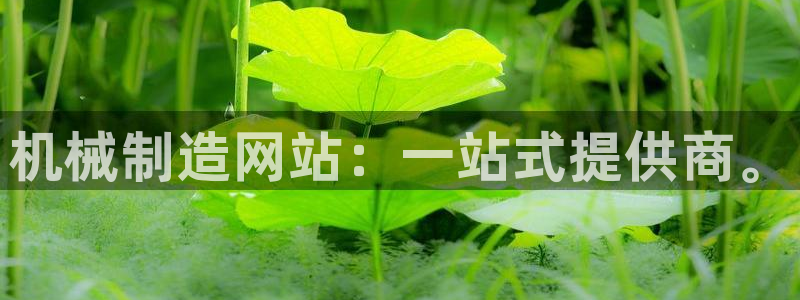 摩根娱乐百家号