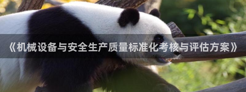 猫眼娱乐摩根士丹利