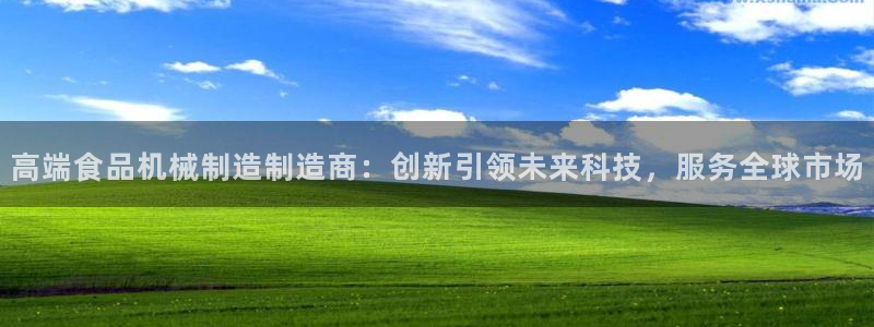 华视娱乐 摩根 王琛