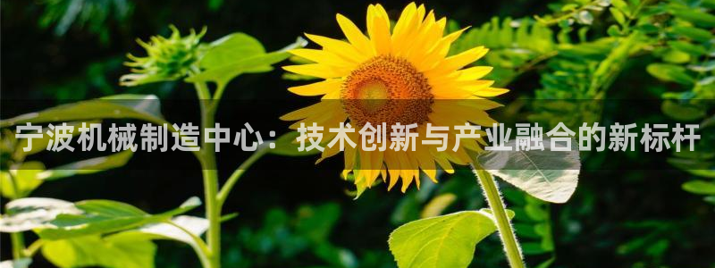 摩根娱乐宝怎么玩