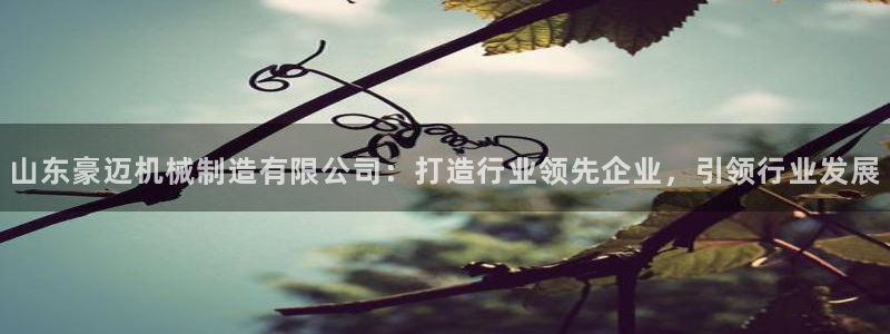 摩根娱乐外汇