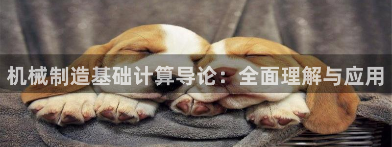 临平摩根娱乐会所地址