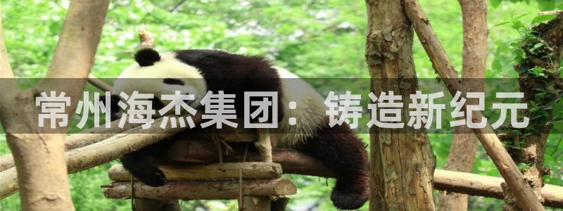 香港摩根娱乐宝