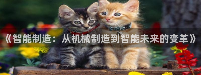 芜湖摩根一百有哪些娱乐