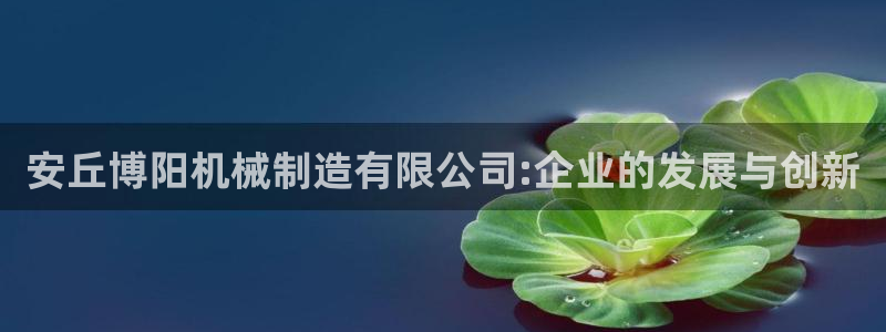 亚瑟摩根娱乐的地方