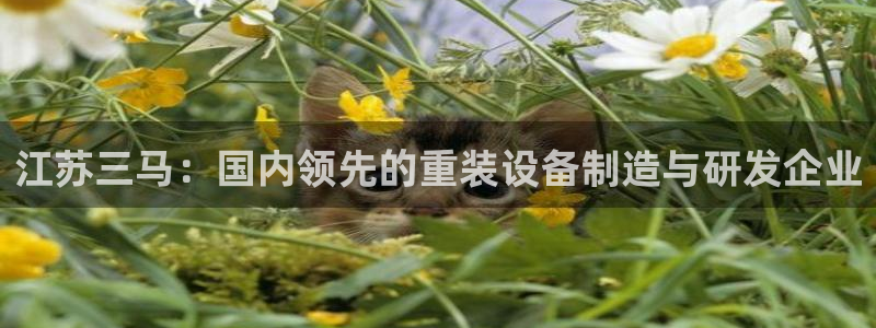 微信里面摩根娱乐宝