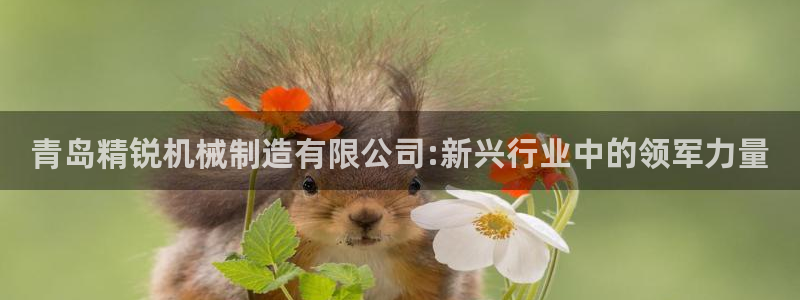 摩根娱乐注册m总管