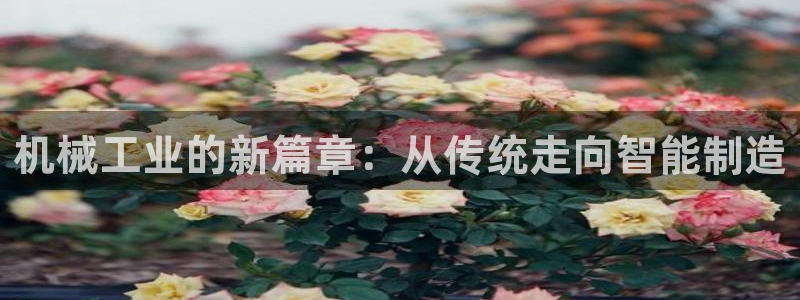 摩根娱乐宝被骗怎么办