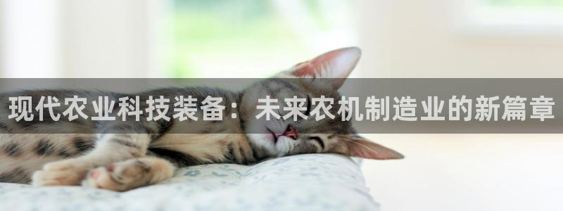 摩根娱乐电玩