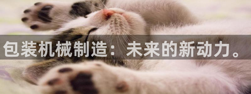 摩根娱乐宝是骗局吗