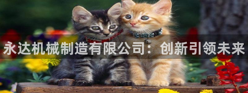 摩根娱乐老lb板50820
