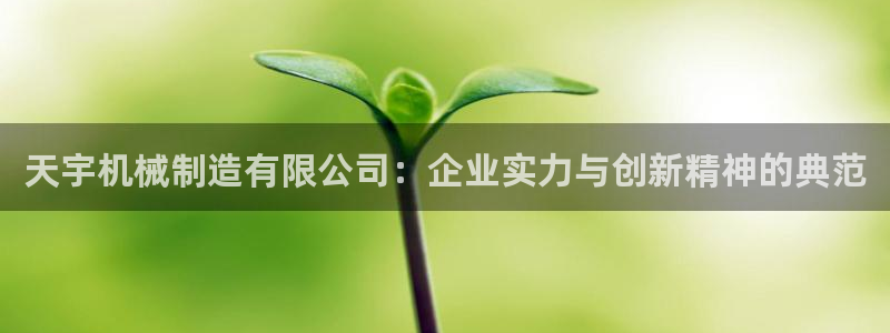 摩根娱乐宝