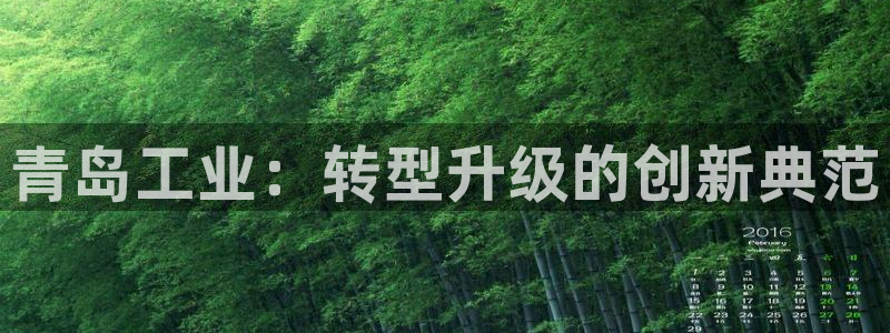 摩根娱乐公会创始人