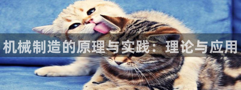 泉州摩根娱乐会所电话号码