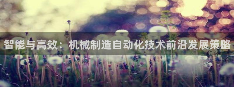 摩根娱乐公司