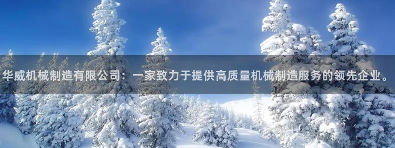 华视娱乐摩根王琛