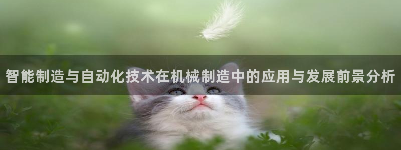 摩根娱乐视频大全