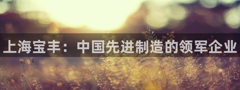 摩根国际亚太娱乐宝