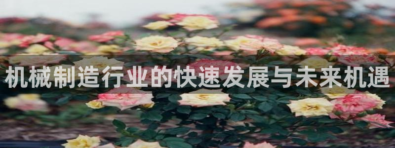 摩根娱乐云挂机是真的嘛