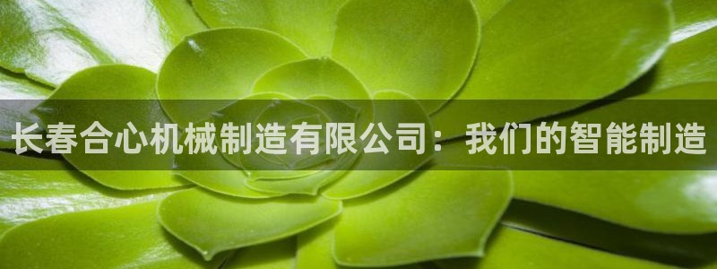 摩根娱乐彩票最忌三种东西