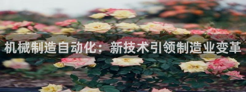 摩根娱乐50186叩