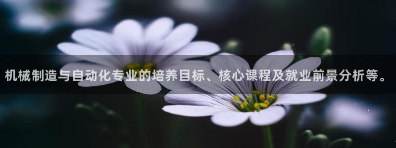 摩根娱乐包是什么意思