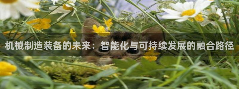 摩根娱乐宝怎么盈利