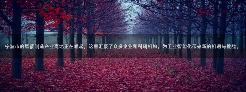 义乌摩根娱乐消费多少