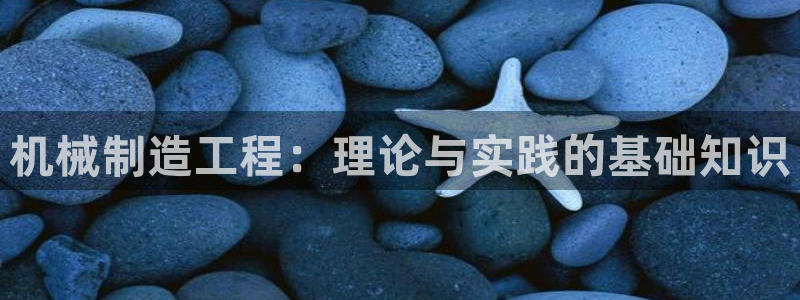 摩根娱乐宝怎么赚钱