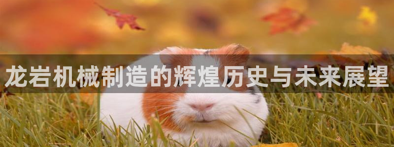 摩根娱乐宝教程