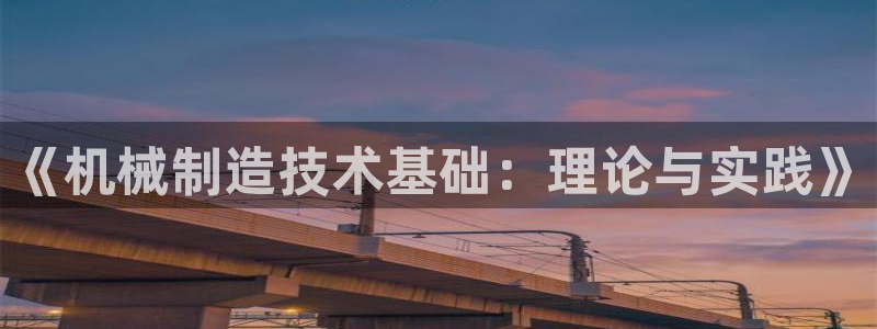 摩根大通投资娱乐公司