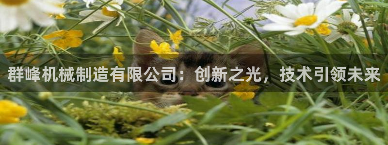 摩根娱乐是什么意思