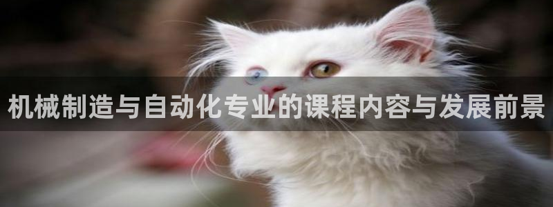 济宁摩根国际娱乐