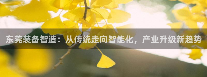 摩根娱乐宝总部