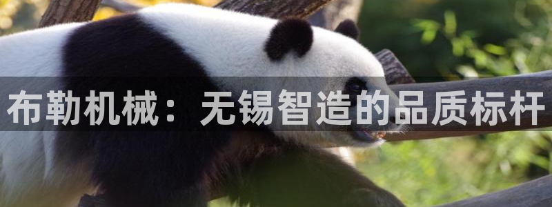 娱乐解说摩根王者荣耀