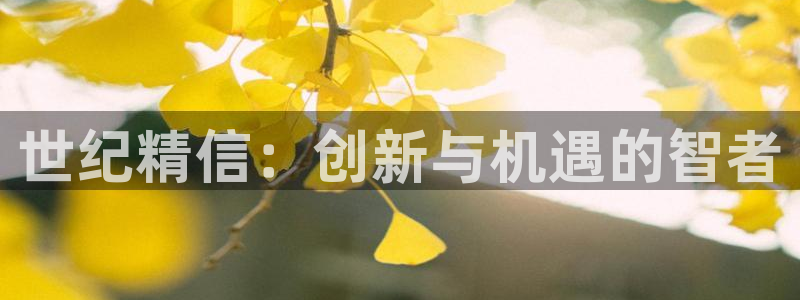 福建泉州白宫摩根会娱乐