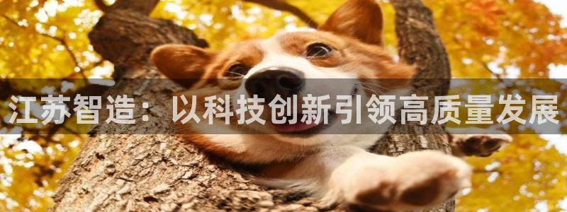 摩根娱乐宝创始人