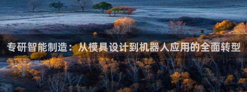 亚瑟摩根娱乐的地方