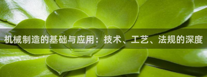 下载摩根国际娱乐宝