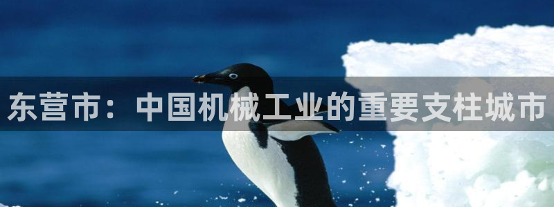 摩根娱乐视频大全