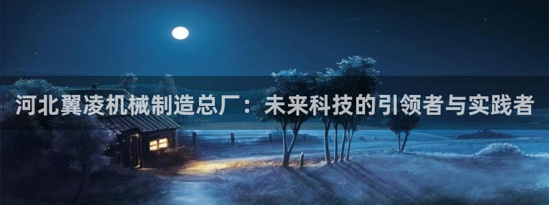 摩根娱乐挂机项目有哪些