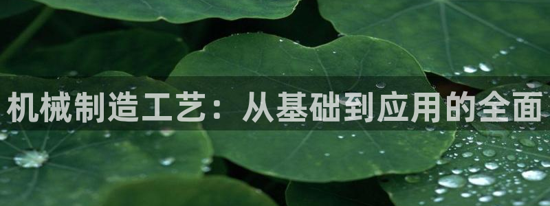 摩根大通王者娱乐