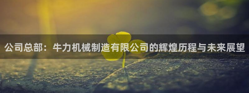 摩根转型娱乐的视频