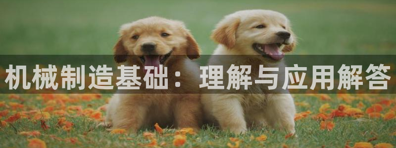 主角是摩根家族的娱乐文