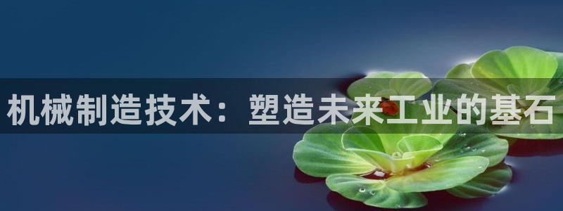 摩根士丹利娱乐银行