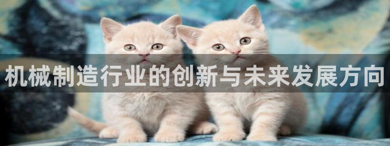 摩根娱乐宝的代理方式