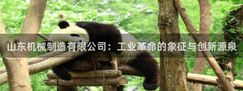 摩根 娱乐宝骗了我